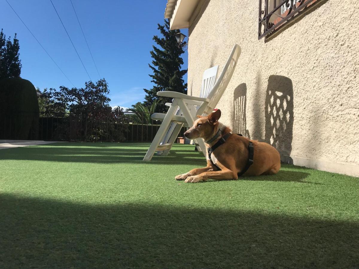 Villa Jazmin モナチル エクステリア 写真