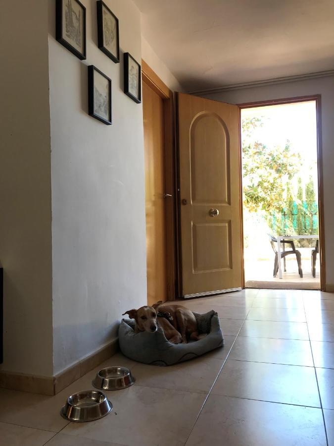 Villa Jazmin モナチル エクステリア 写真